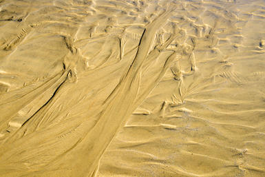 Sand 12