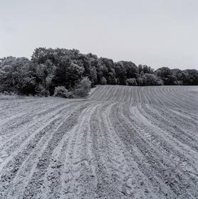 Dsc4397