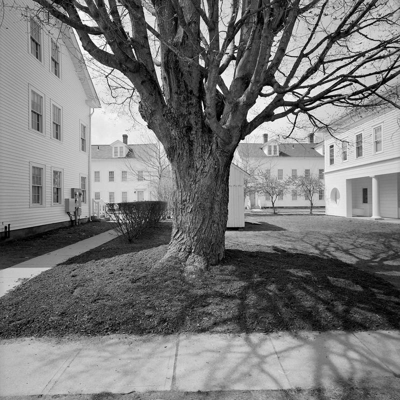 Thompson ct 14