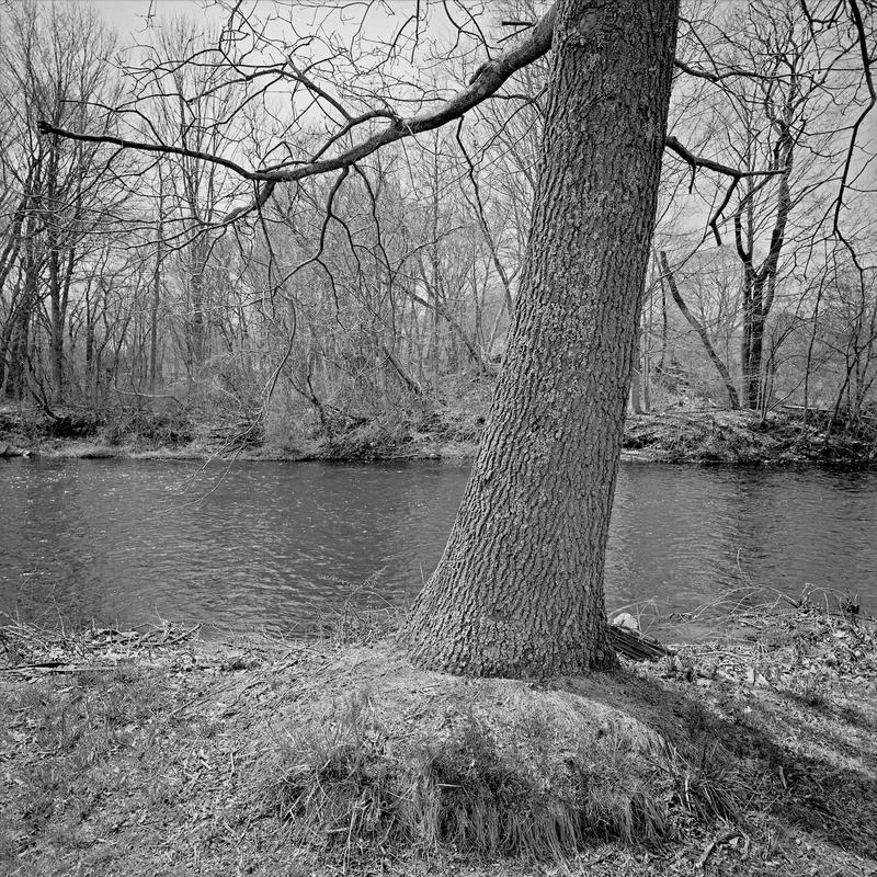 Thompson ct 27