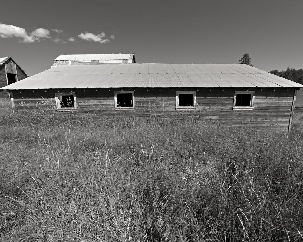 Colville wa blwh 11