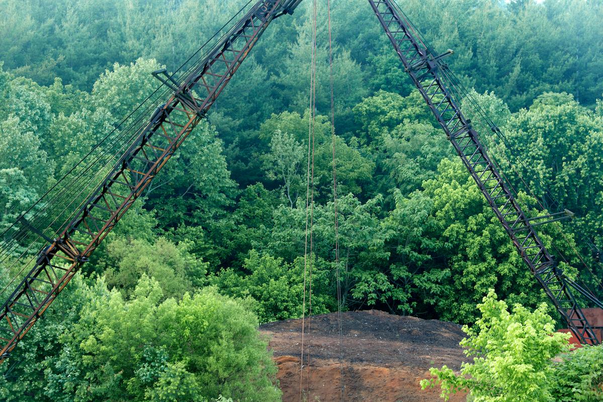 Spruce pine 2014 32