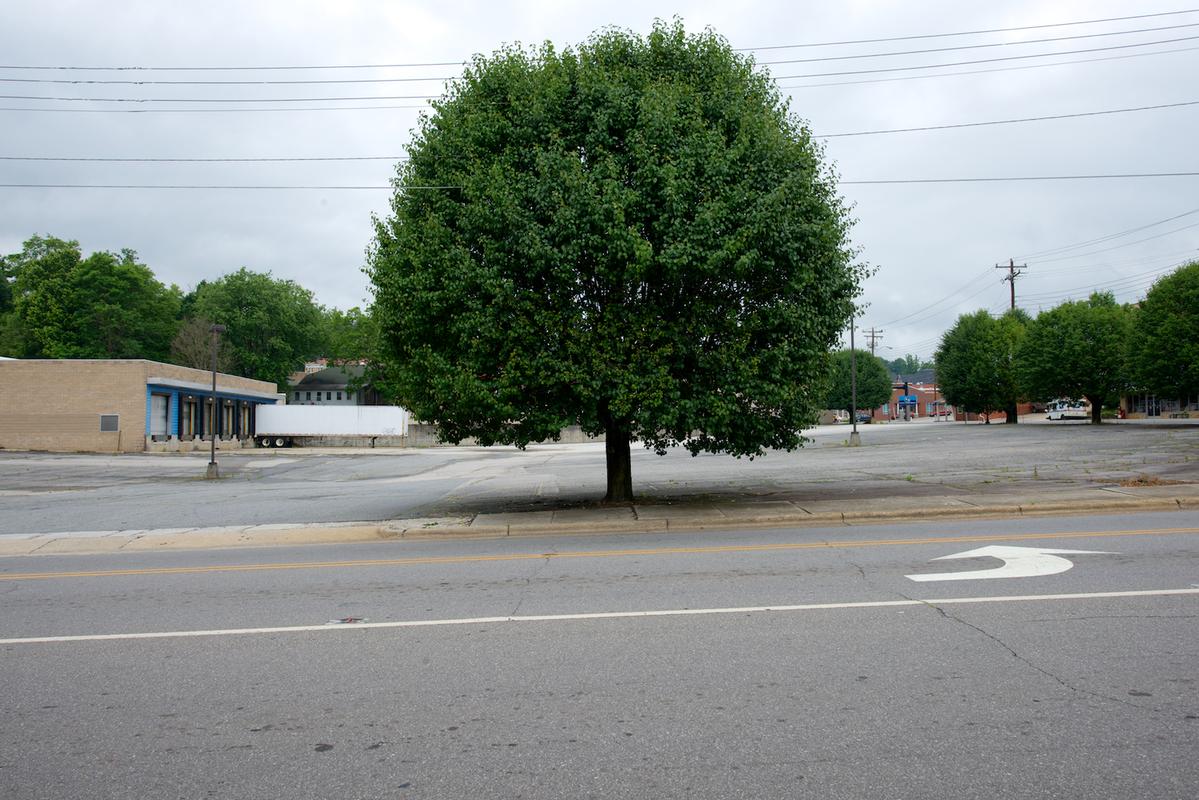 Marion nc 2014 15