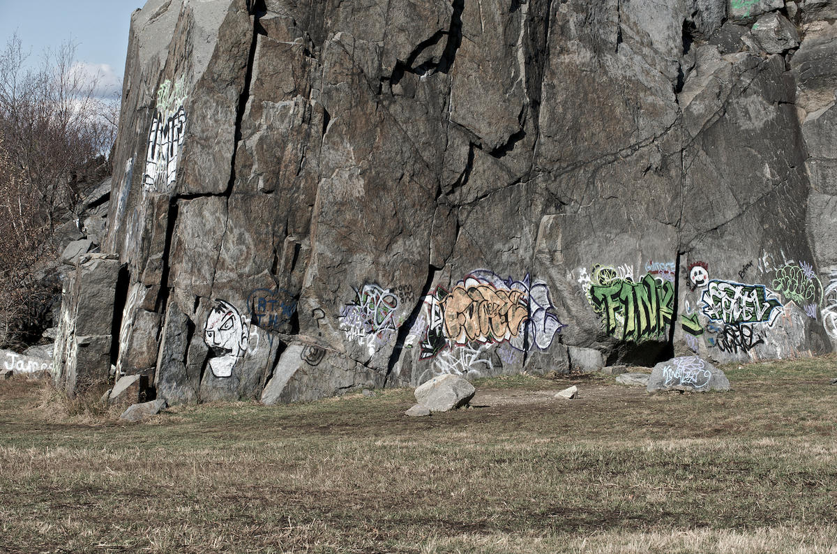 Quincy quarry 2009 06