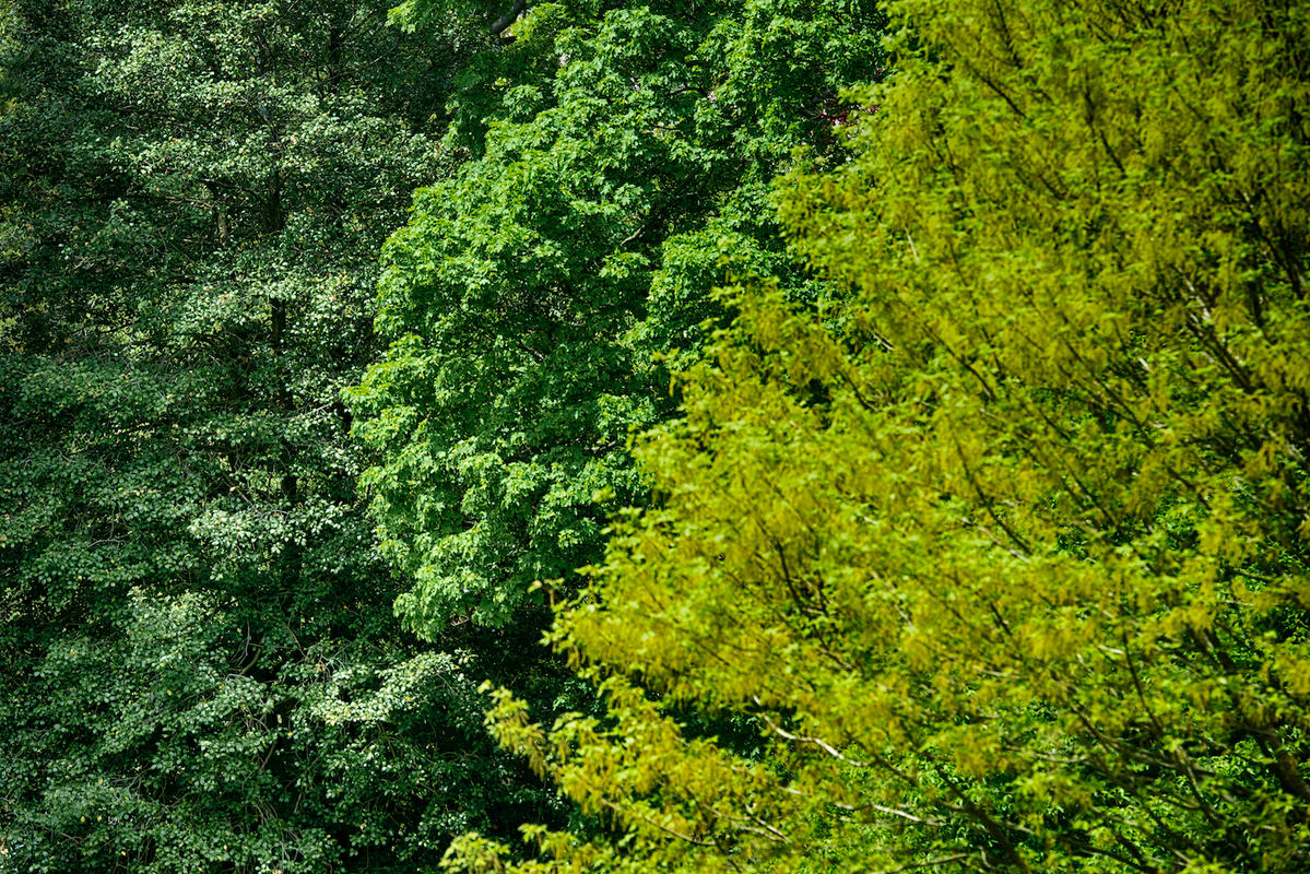 W141383 hdr