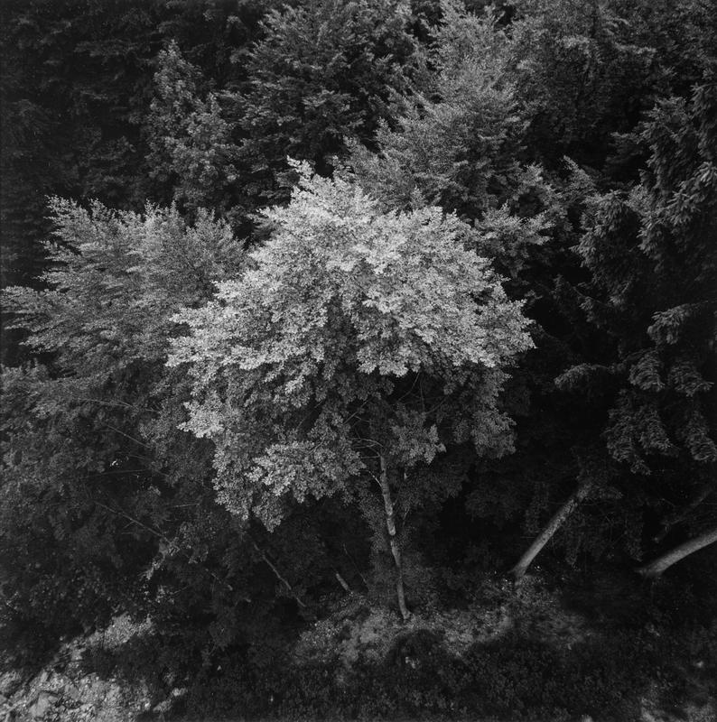 wtr0432