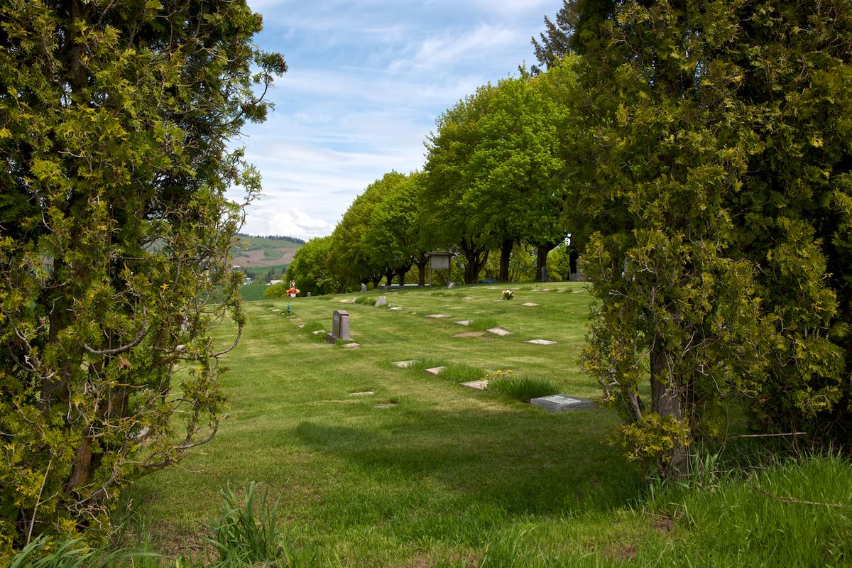 Goldenrod cemetery 2011 neal rantoul 009