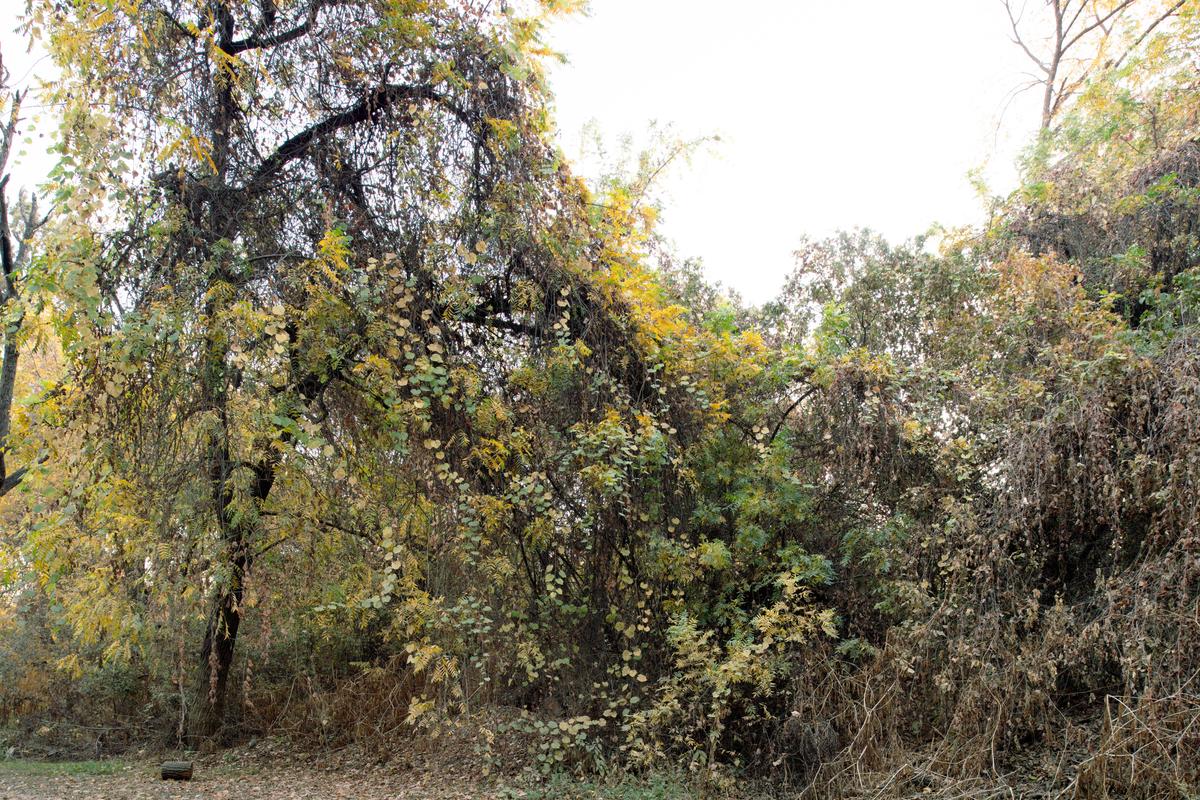 Dsc1553