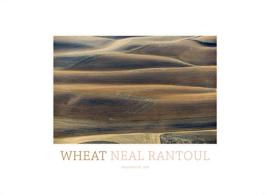 Wheat brown rtp this is the one