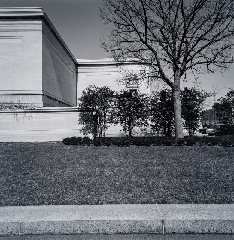 Dsc4650