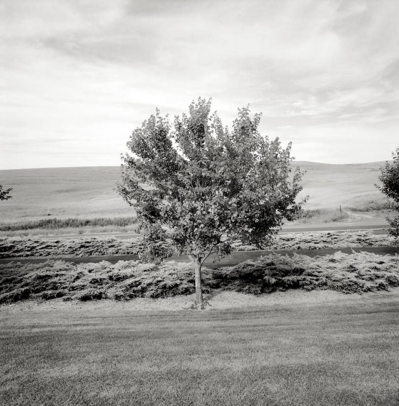 Oakesdale wa neal rantoul 009